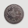 5 kuruş (1293/13)