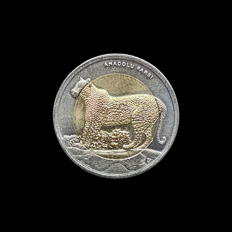 1 lira 2012 - Anadolu Parsı