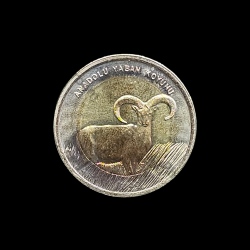 1 lira 2015 - Anadolu Yaban Koyunu