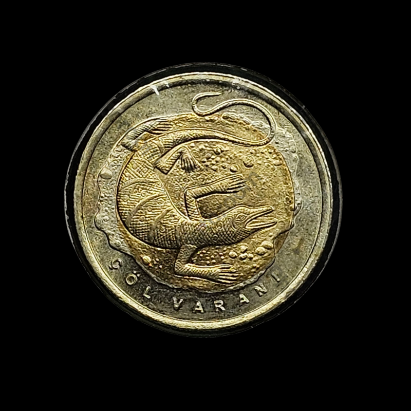 1 lira 2015 - Çöl Varanı