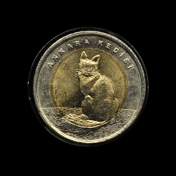 1 lira 2015 - Ankara Kedisi