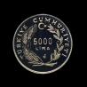 5000 lira 1991 - 1991 Yunus Emre Yılı