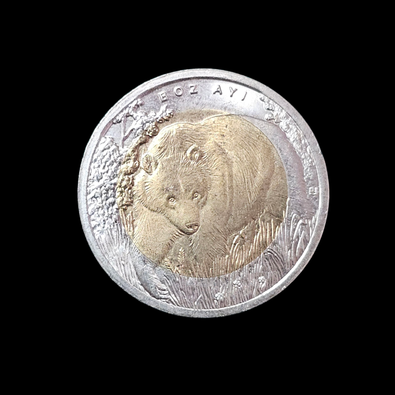 1 lira 2011 - Boz Ayı