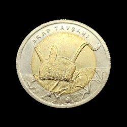 1 lira 2016 - Arap Tavşanı