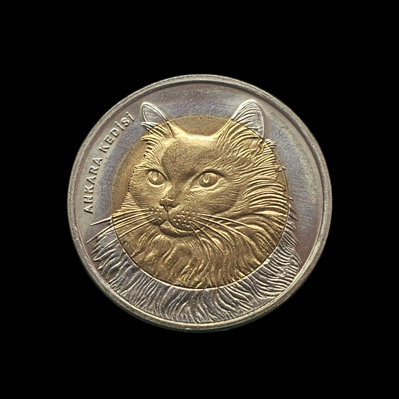 1 lira 2010 - Ankara Kedisi